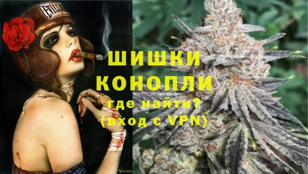 гашик Арсеньев