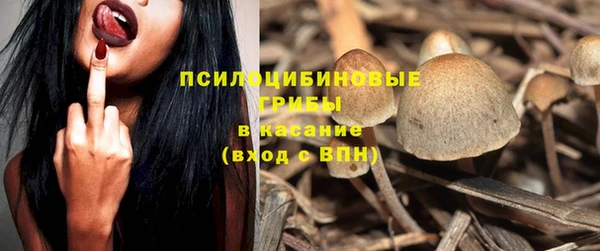 гашик Арсеньев