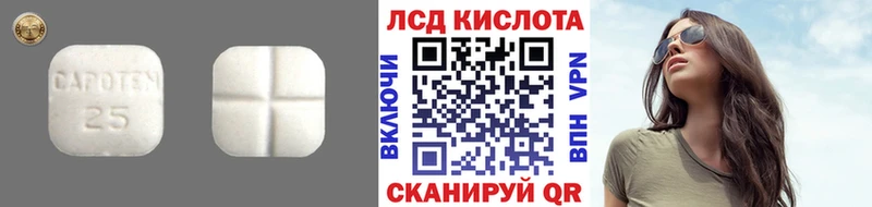 Купить где  Светогорск  LSD-25 экстази ecstasy 