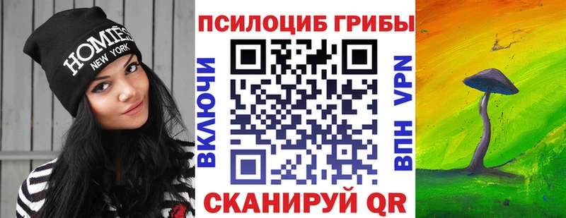 Псилоцибиновые грибы мицелий  Купить закладки  Светогорск 